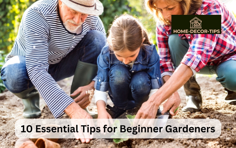 10 Essential Tips for Beginner Gardeners Getting Started with Your First Garden