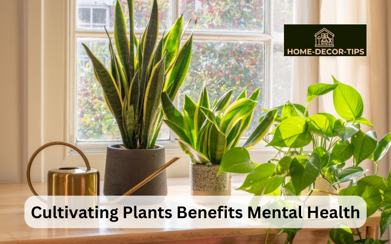 How Cultivating Plants Benefits Mental Health