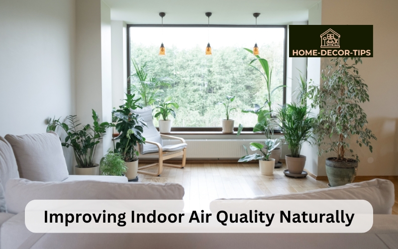 Improving Indoor Air Quality Naturally Plants and Other Strategies