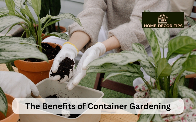 The Benefits of Container Gardening How to Grow a Beautiful Garden in Small Spaces