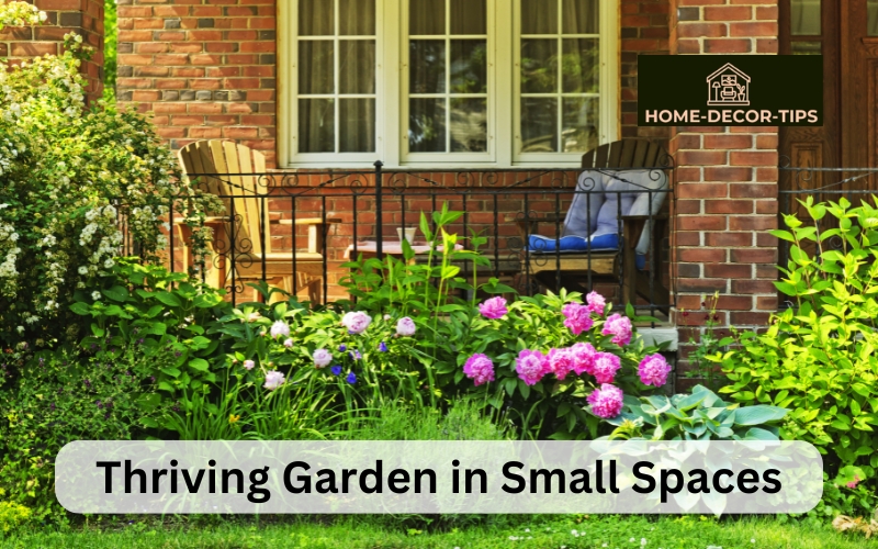Tips for Growing a Thriving Garden in Small Spaces